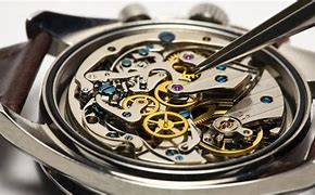 Image result for Movement Watches