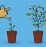 Image result for Free Clip Art Money Tree