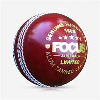 Image result for Focus Cricket Balls