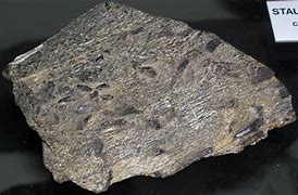 Image result for Garnet Crystal in a Rock