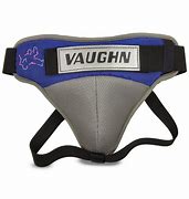 Image result for Pelvic Protector