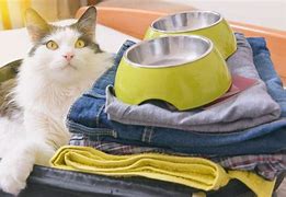 Image result for Pets Companion Inn