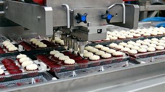 Image result for Food Factory Machine
