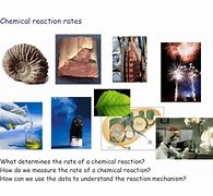 Image result for Reaction Rate Chart