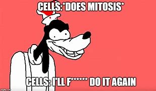 Image result for iPhone Camera Mitosis Meme