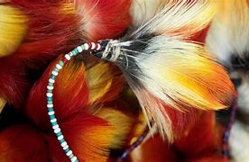 Image result for Real Feather Pendant