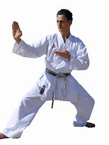 Image result for Miyagi Do-Karate