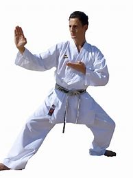 Image result for Martial Arts PNG