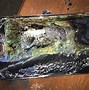Image result for Does the Samsung Note Fe Explode Still