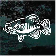 Image result for Crappie Fishing Decals