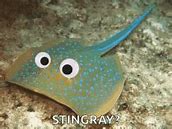 Image result for Pineapple Triggerfish