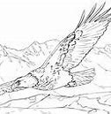 Image result for Coloring Pages for Bald Eagles