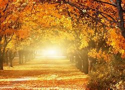 Image result for Automne Doux Hiver