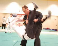 Image result for Brazilian Jiu Jitsu Nassau County