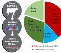 Image result for Plants vs Meat