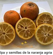 Image result for agrimonja