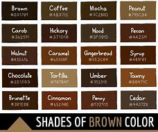 Image result for Brown Hair Hex Code