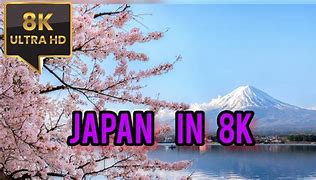 Image result for Yoron Island Japan in 8K
