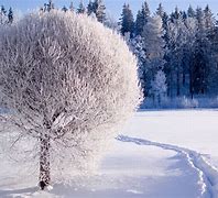 Image result for Winter