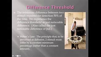 Image result for The Law and Order What Is the Different