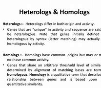 Image result for Homologous and Heterologous Chromosones