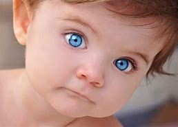 Image result for Babies with Big Eyes