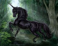 Image result for Black Unicorn Vampire Warrior