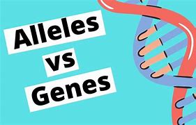 Image result for Genetics vs Genomics