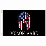 Image result for Molon Labe American Flag