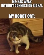 Image result for No Signal Cat