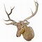 Image result for Elk Antlers Headband