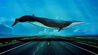 Image result for Kindle Fire Kids Wallpaper Whale