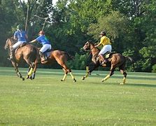 Image result for Summer Polo Riding