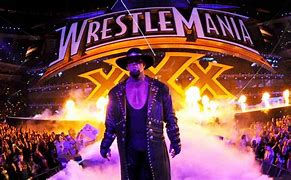 Image result for WWE Wrestlemania 30 Undertaker
