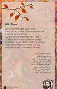 Image result for Hafez Poems