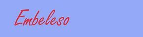 Image result for embeleso