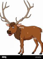 Image result for Cartoon Elk Head