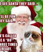 Image result for Funny Cat Christmas Memes