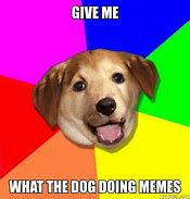 Image result for 9GAG Dog Meme