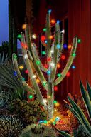 Image result for Cactus Tree Outdoor Lights