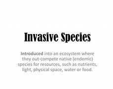 Image result for Native Species vs Invasive Species 4th Grade