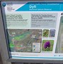 Image result for Dyfi Nature Reserve