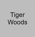 Image result for Tiger Woods New Car