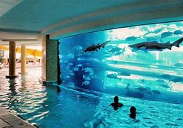 Image result for Best Swimming Pool Ever