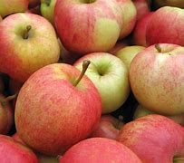 Image result for Red Gala Apple