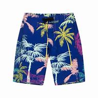 Image result for Men's Hawaiian Board Shorts