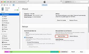 Image result for Apple iPhone 6s Back Up