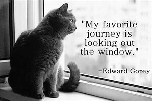 Image result for Funny Window Quotes