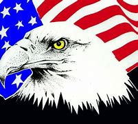 Image result for American Eagle Clip Art