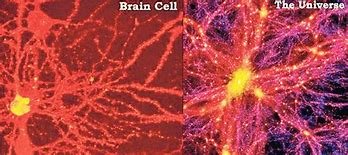 Image result for The Human Brain and the Cosmos